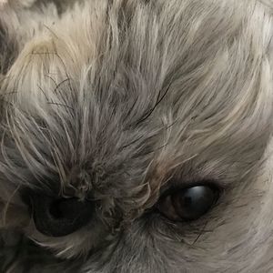 Meet your Posher, Jo